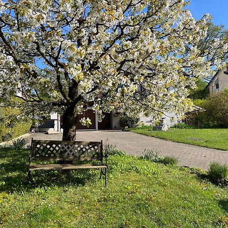 Ferienwohnung Am Kirschbaum Uhldingen-Mühlhofen Eksteriør billede